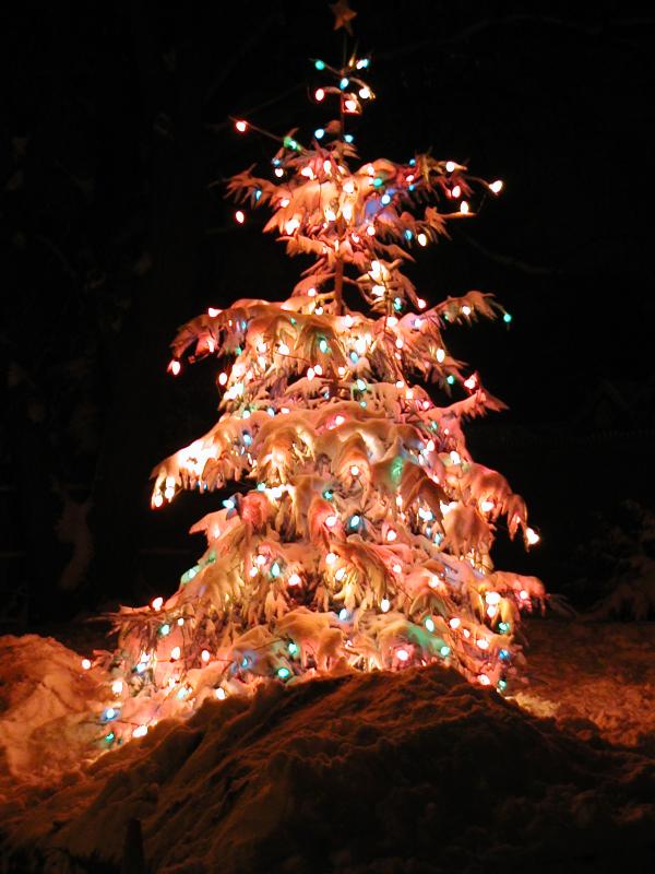 Tree